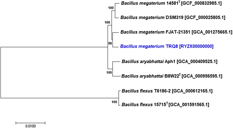 Fig. 1