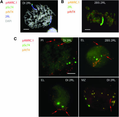 Figure 2.—