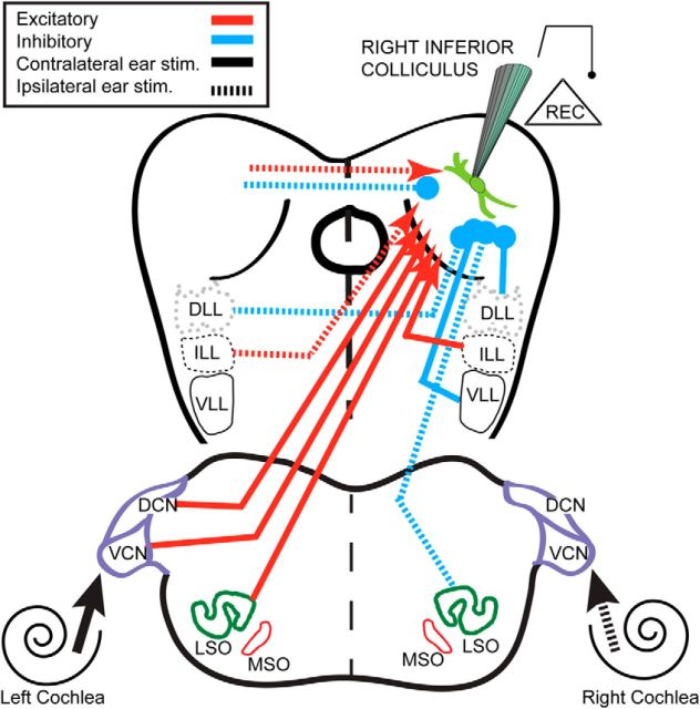 Figure 11.