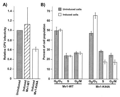 FIG. 6