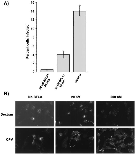 FIG. 8