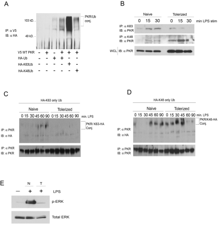 FIG 4 