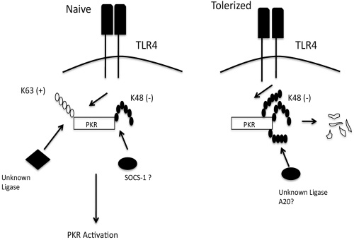 FIG 6 