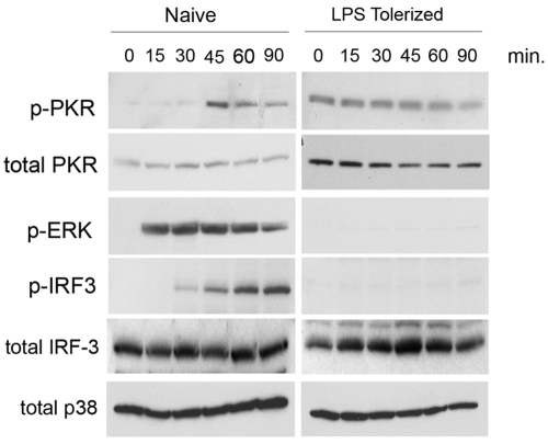 FIG 2 