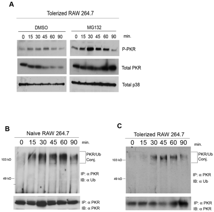 FIG 3 