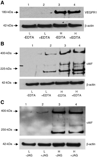 Figure 5