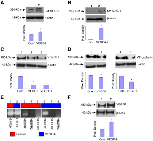 Figure 6