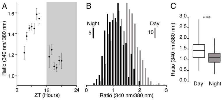 Fig. 2