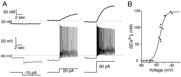 Fig. 3