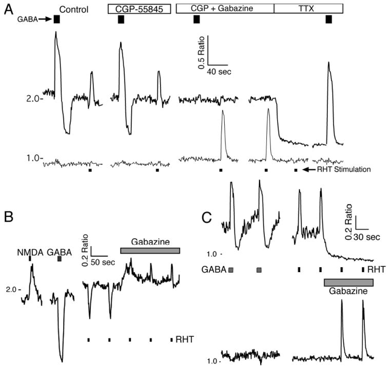 Fig. 10