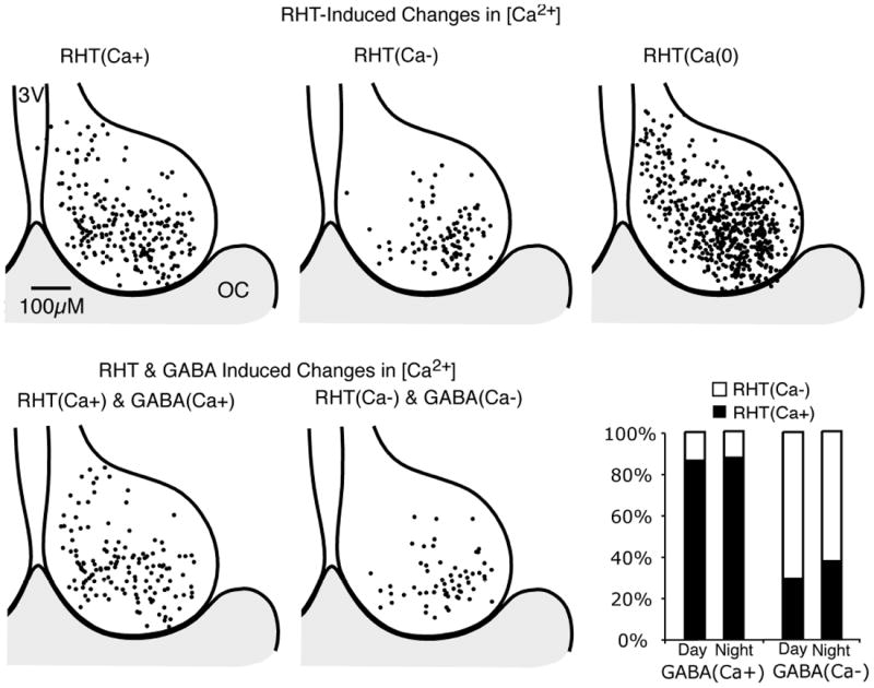 Fig. 11