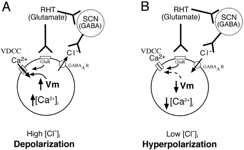 Fig. 12