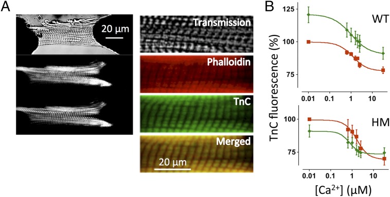 Fig. 6.