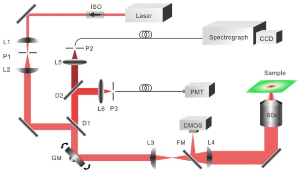 Fig. 1