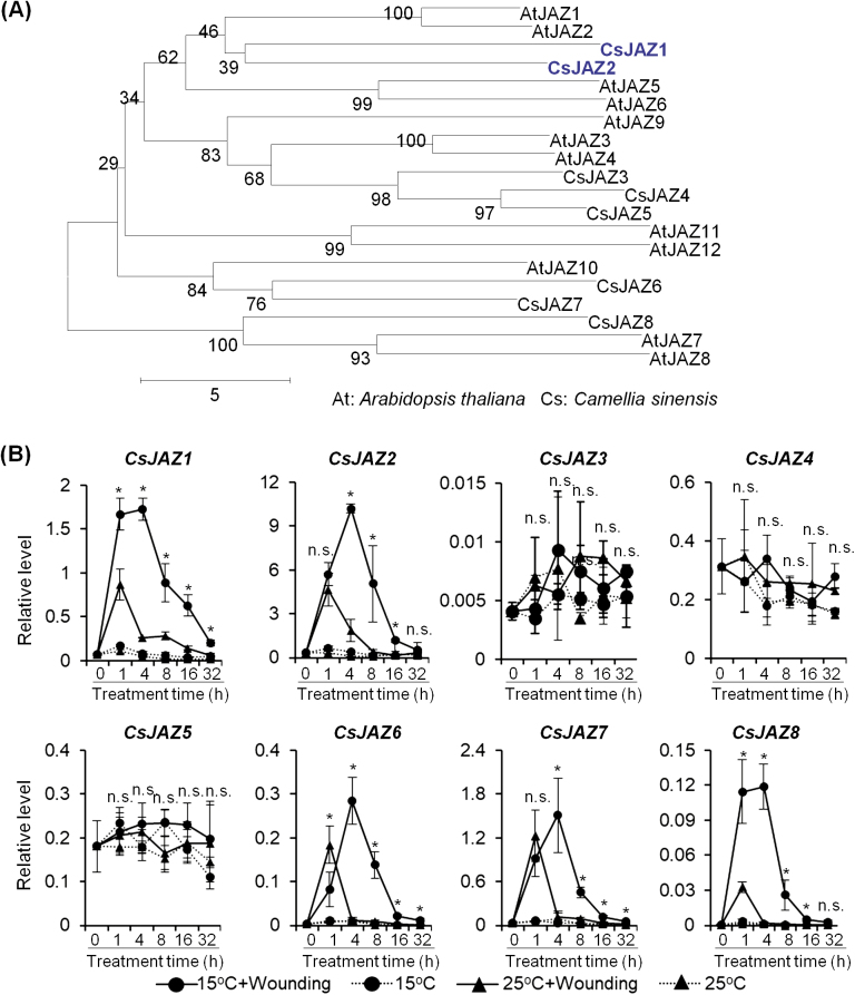 Fig. 6.