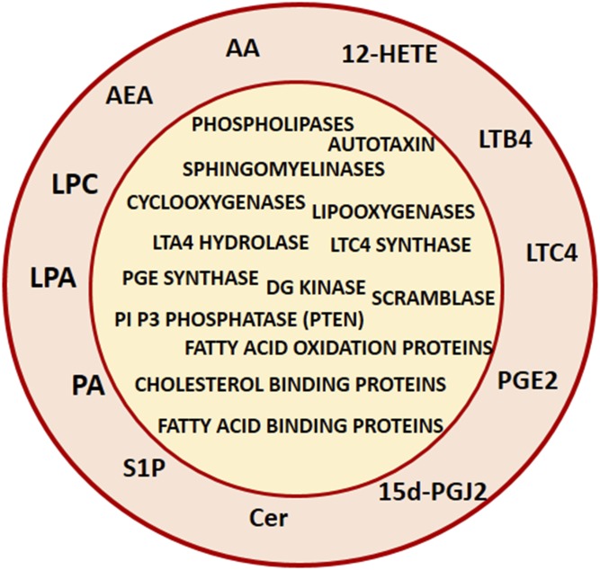 Fig. 1.