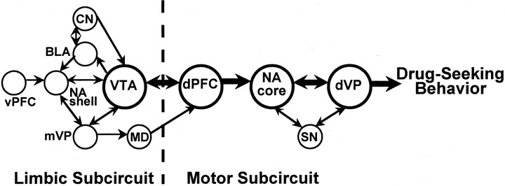 Fig. 8.