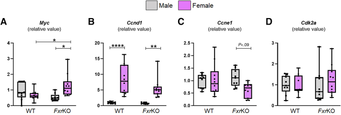 Figure 11