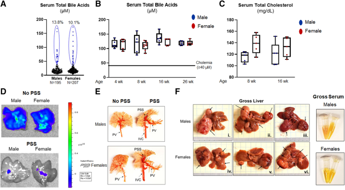 Figure 13