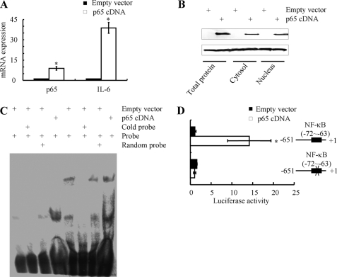 FIGURE 11.