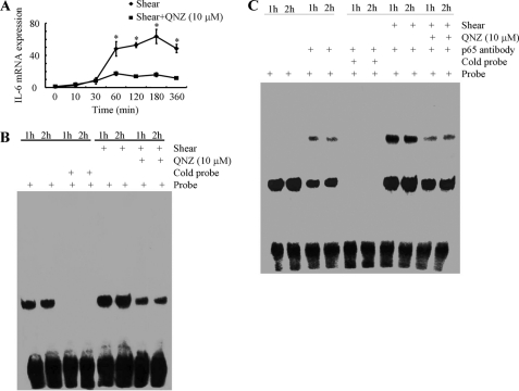 FIGURE 9.