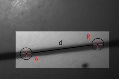 Figure 16