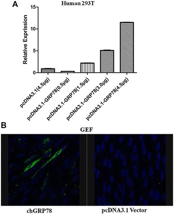 Figure 4