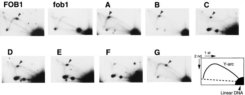 FIG. 6