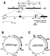 FIG. 1
