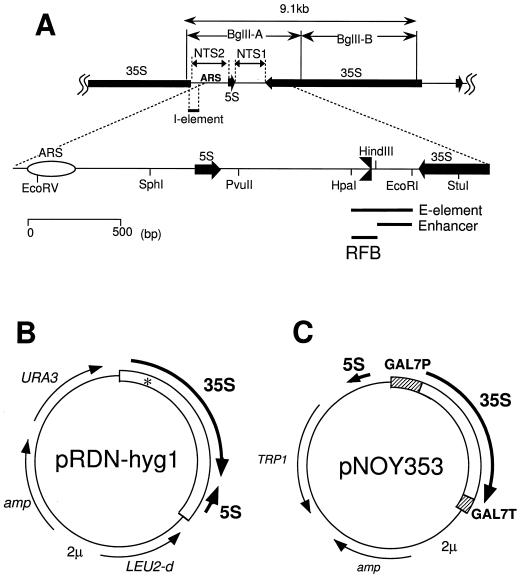 FIG. 1