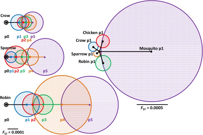 Fig 5