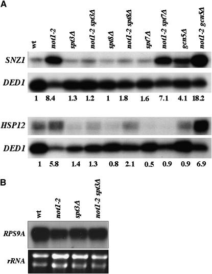 Figure 3.—