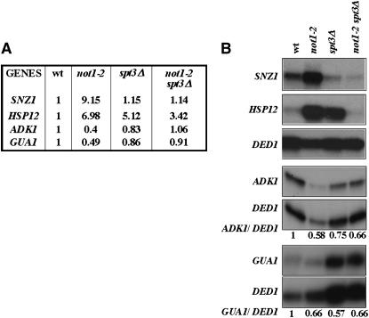 Figure 2.—