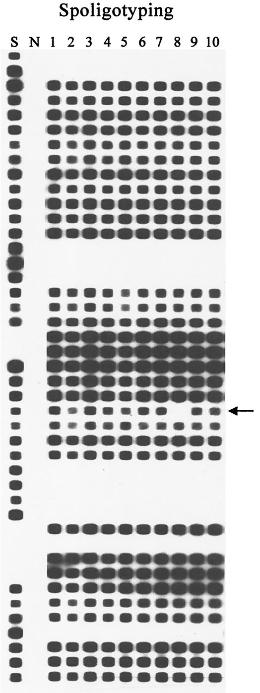 FIG. 3.