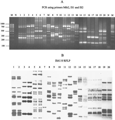 FIG. 4.