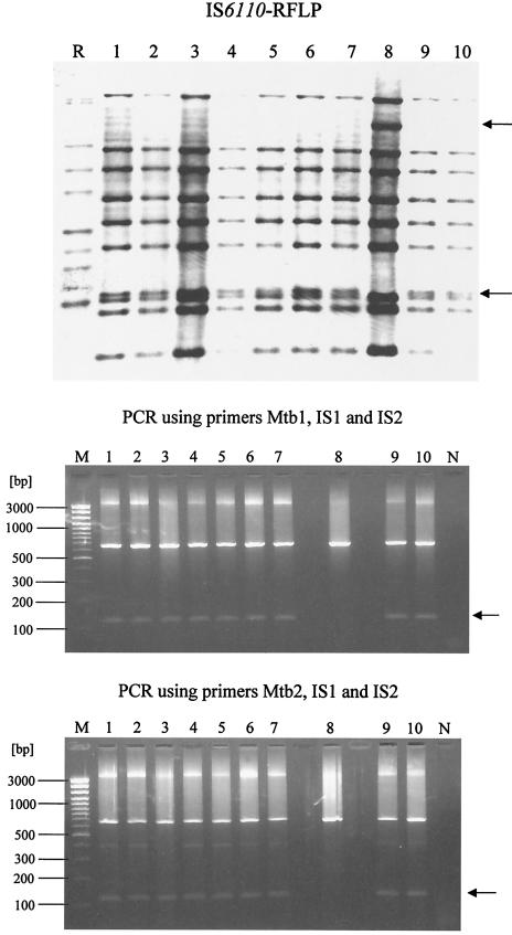 FIG. 3.