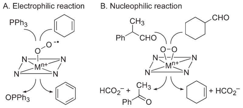 SCHEME 5