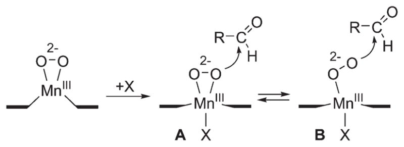 SCHEME 7