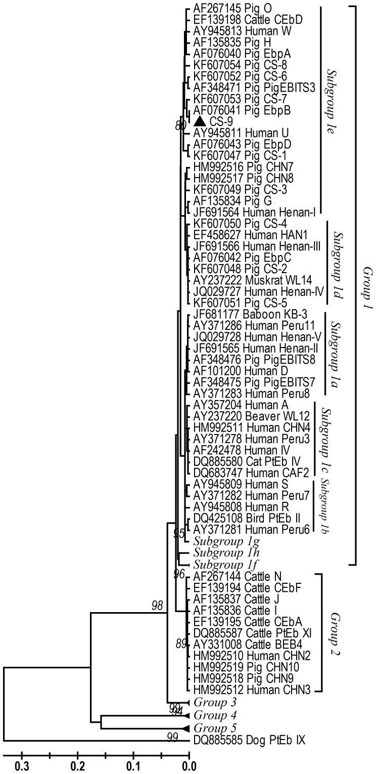 Figure 1