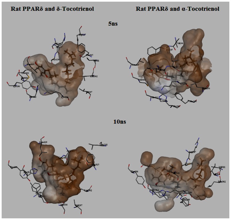 FIGURE 13