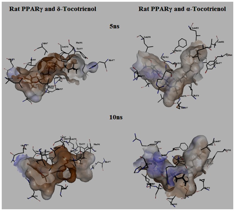 FIGURE 14