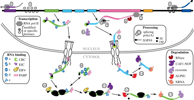 Figure 2.