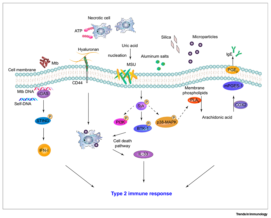 Figure 2.