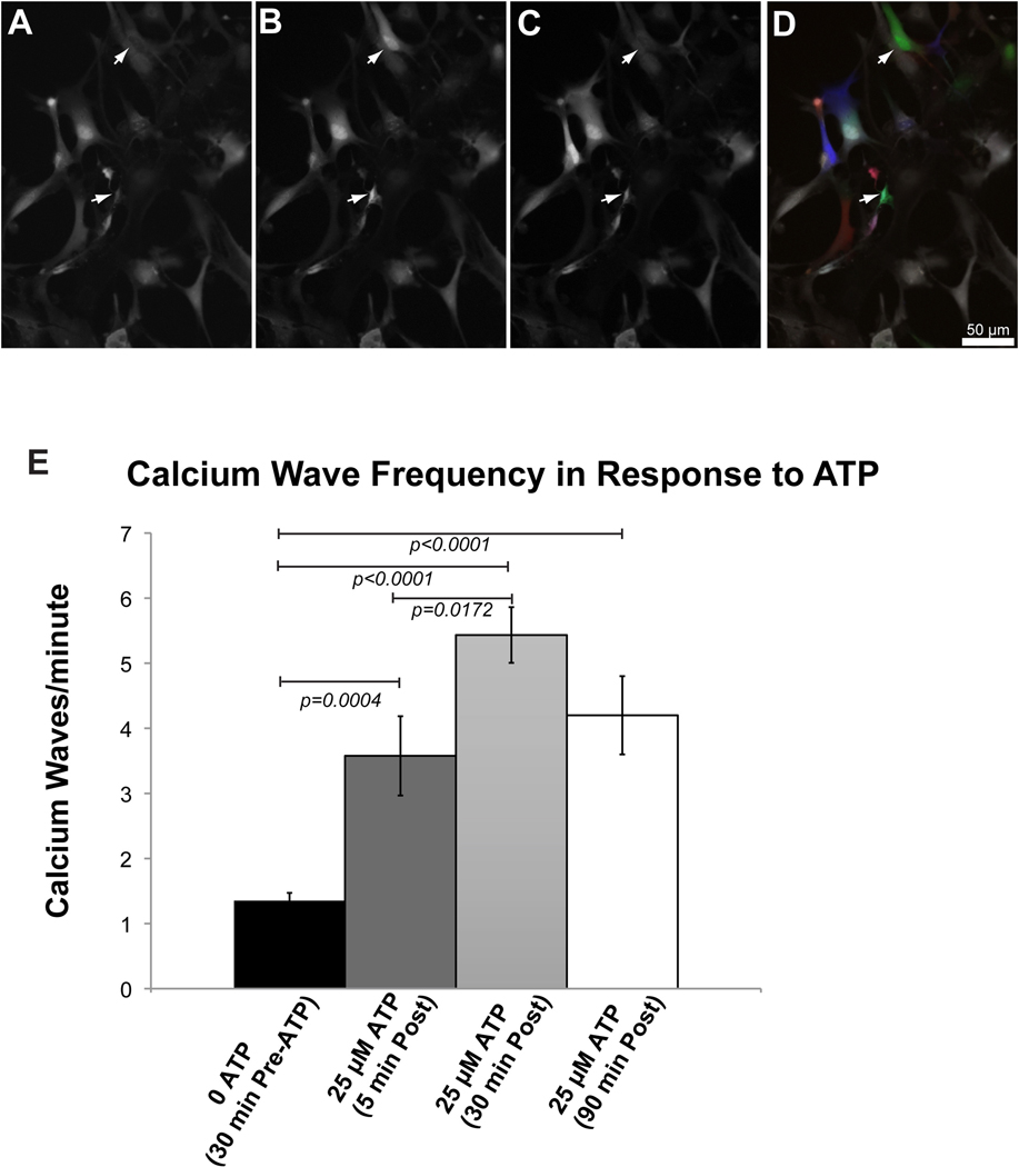 Figure 2.