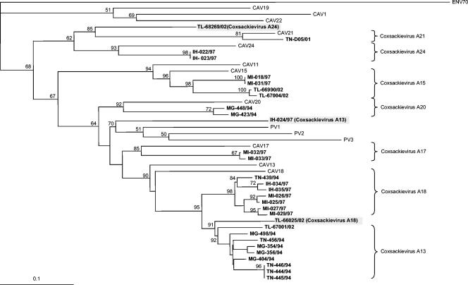 FIG. 4.