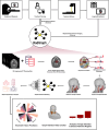 Study overview shows the radiomic graph framework (RadGraph), as well
as its potential place in the current radiation treatment pipeline. RT =
radiation therapy, 3D = three-dimensional.