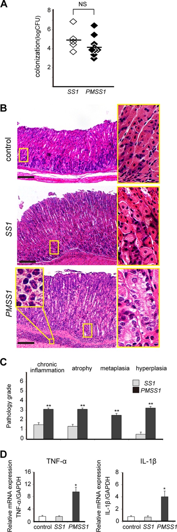 FIG 1