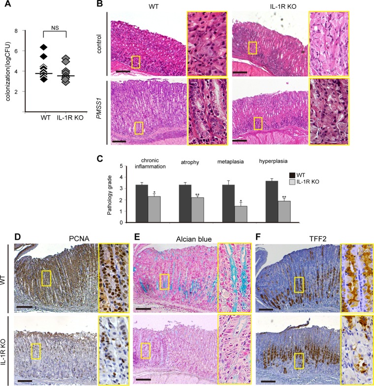 FIG 6