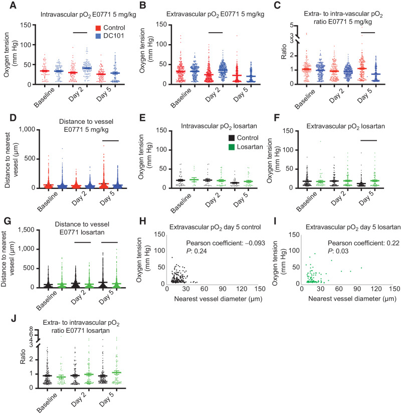 Figure 6. Anti-VEGFR2 antibody treatment at 5 mg/kg increases intravascular and interstitial pO2 while restoring perfusion (A–D), whereas losartan increases interstitial pO2 on day 5 after reperfusing vessels on day 2 in E0771 (E–J). A, Measurements of intravascular oxygen tension in mmHg in control IgG and anti-VEGFR2 (DC101) (both 5 mg/kg i.p. every 3 days) antibody-treated mice at baseline, day 2, and day 5. n = 64–103 measurements per time point per group. N = 5–8 mice per group in the DC101 studies. Lines indicate statistically significant differences between multiple comparisons after a Kruskal–Wallis test with Dunn's correction, with differences depicted only for comparisons between control and treatment groups on the same day. B, Extravascular (interstitial, i.e., measurements 40–60 μm from the nearest vessel) oxygen measurements in the same tumors. n = 246–367 measurements per time point per group. C, Measurements of extravascular oxygen tension in mmHg normalized to the intravascular oxygen tension of blood vessels. D, Distance to the nearest vessel measurements in the same tumors. n = 870–1,962 measurements per time point per group. E, Measurements of intravascular oxygen tension in mmHg in control PBS and losartan-treated mice at baseline, day 2, and day 5. n = 12–38 measurements per time point per group. N = 4–6 mice per group. F, Extravascular (interstitial, i.e., measurements 40–60 μm from the nearest vessel) oxygen measurements in the same tumors. n = 42–161 measurements per time point per group. N = 4–6 mice per group. G, Distance to the nearest vessel measurements in the same tumors. n = 412–1,279 measurements per time point per group. H, Scatter plot of interstitial oxygen tension versus the diameter of the nearest vessel in E0771 control-treated tumors on day 5. Correlation coefficient and P value are denoted on the graph. I, Scatter plot of interstitial oxygen tension versus the diameter of the nearest vessel in E0771 losartan-treated tumors on day 5. Correlation coefficient and P value are denoted on the graph. J, Measurements of extravascular oxygen tension in mmHg normalized to the intravascular oxygen tension of blood vessels.