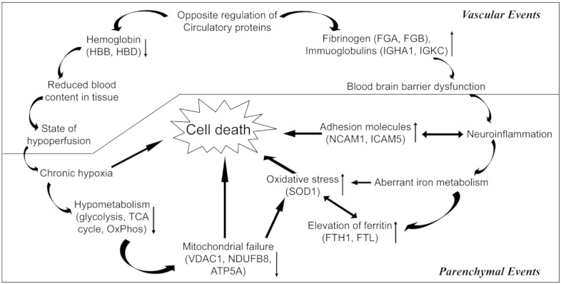 Fig. 4